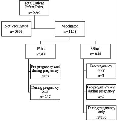Maternal COVID-19 vaccination status and association with neonatal congenital anomalies